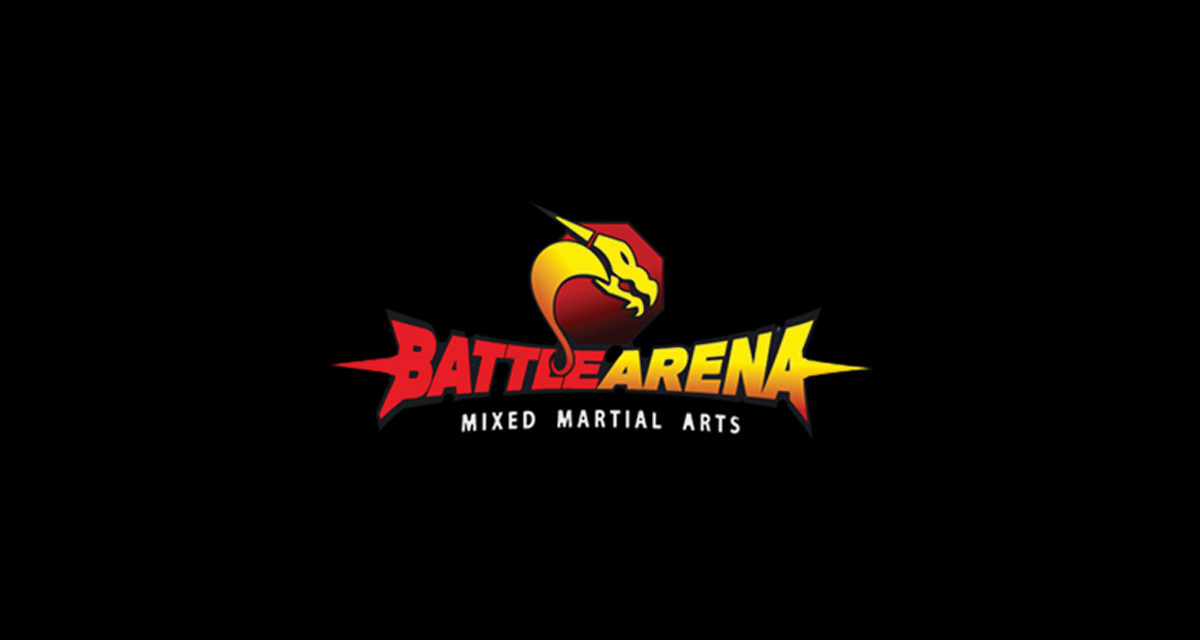 spintop battle arena
