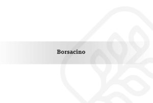 Borsacino