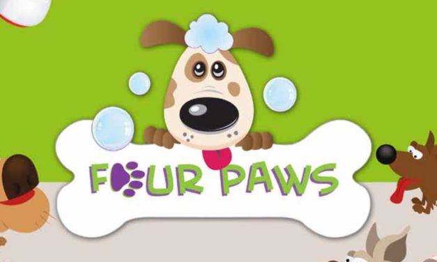 Four Paws