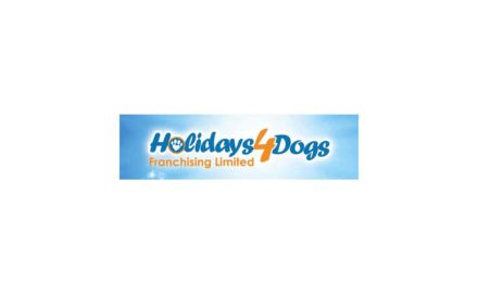Holidays 4 Dogs