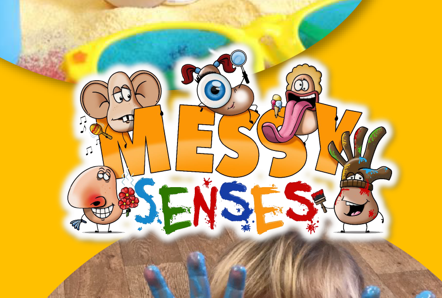 Messy Senses Ltd
